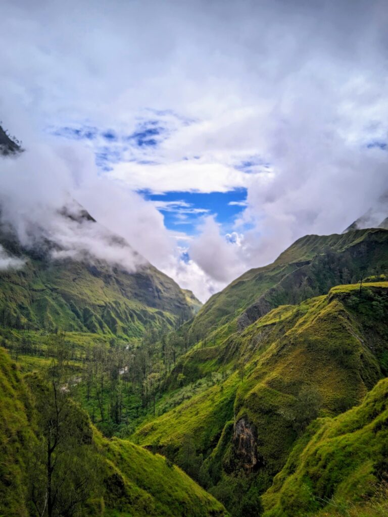 22 768x1024