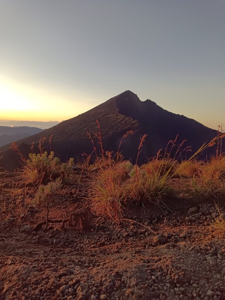 6 768x1024